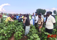 <CMSPRO_DOCUMENT FIELD='title'></CMSPRO_DOCUMENT>