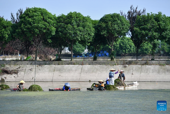 In Pics: Datong Lake in Central China's Hunan Witnesses Ecological ...